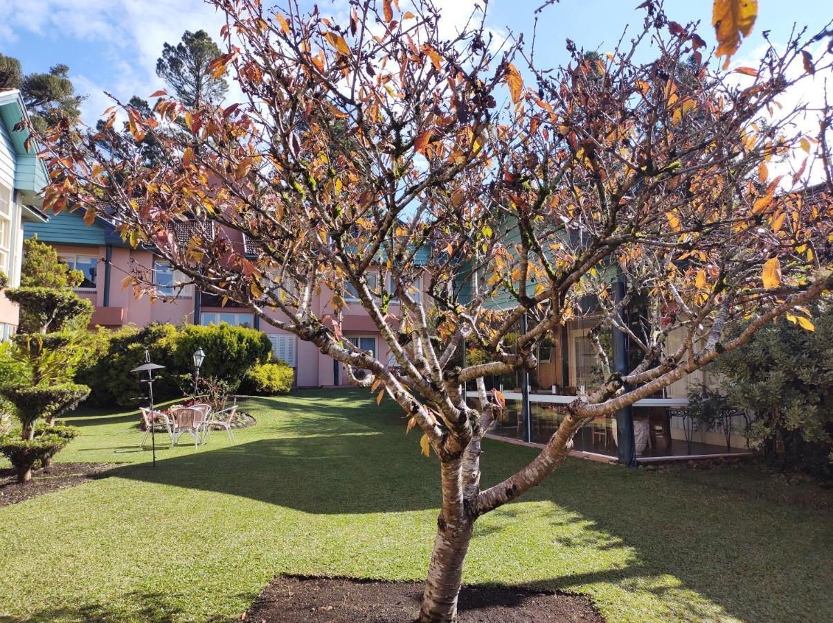 Agradavel Apt 2Quartos Para Familia Prox Ao Lago Negro - 4 Min Do Centro- Com Churrasqueira Gramado Eksteriør billede
